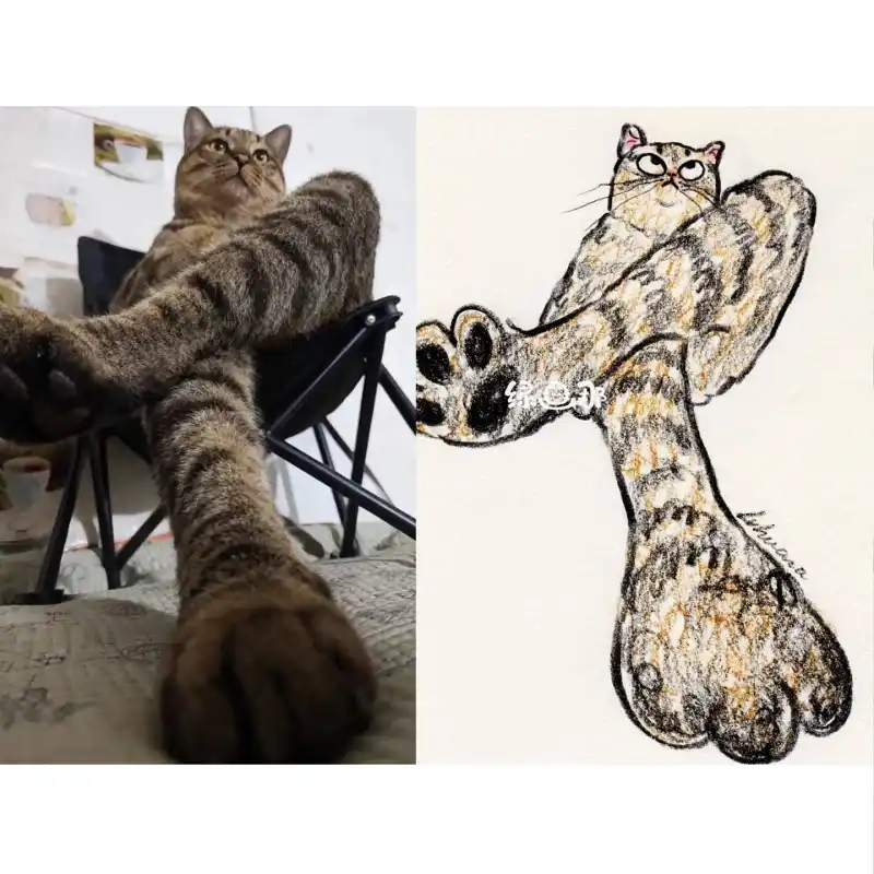 绿画那,插画,猫猫,可爱