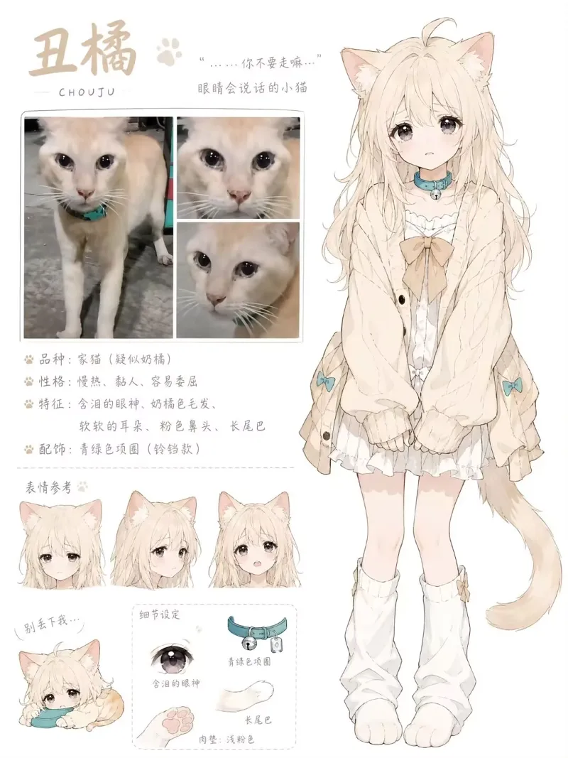 哈基米,耄耋,丑橘,happy猫,逗图,弔图