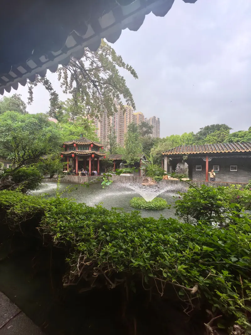 玩,波奇,孤独,开心,简单,生日