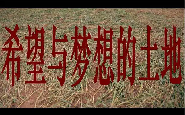 希望与梦想的土地