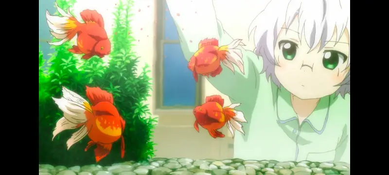 摇曳百合,轻松百合,动画,动漫,番剧,日漫,ACG
