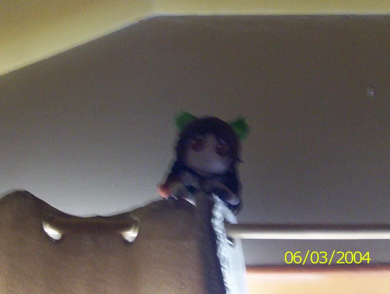 东方project,fumo