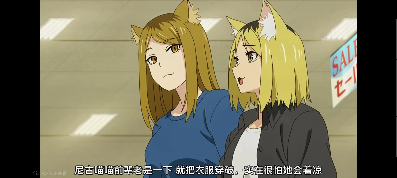 尼古喵喵,雅尼猫,动画,动漫,番剧,二次元,ACG,日漫