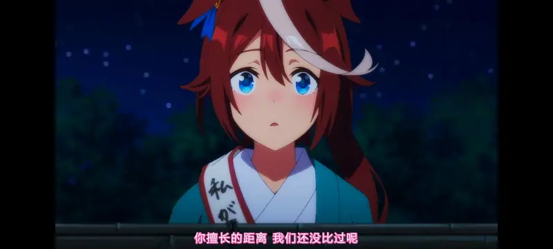 赛马娘,赛马娘PrettyDreby,动画,动漫,番剧,ACG