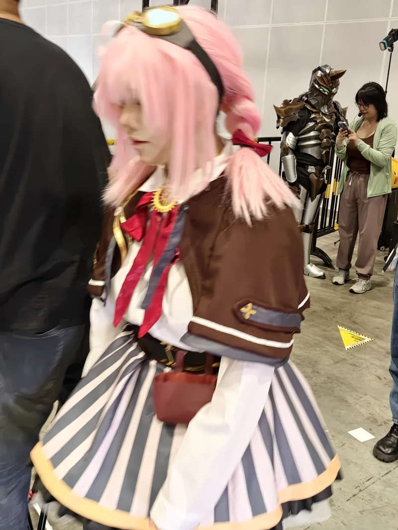漫展,二次元,东方project,术力口,初音未来,镜音双子,特摄,奥特曼,Minecraft,痛车