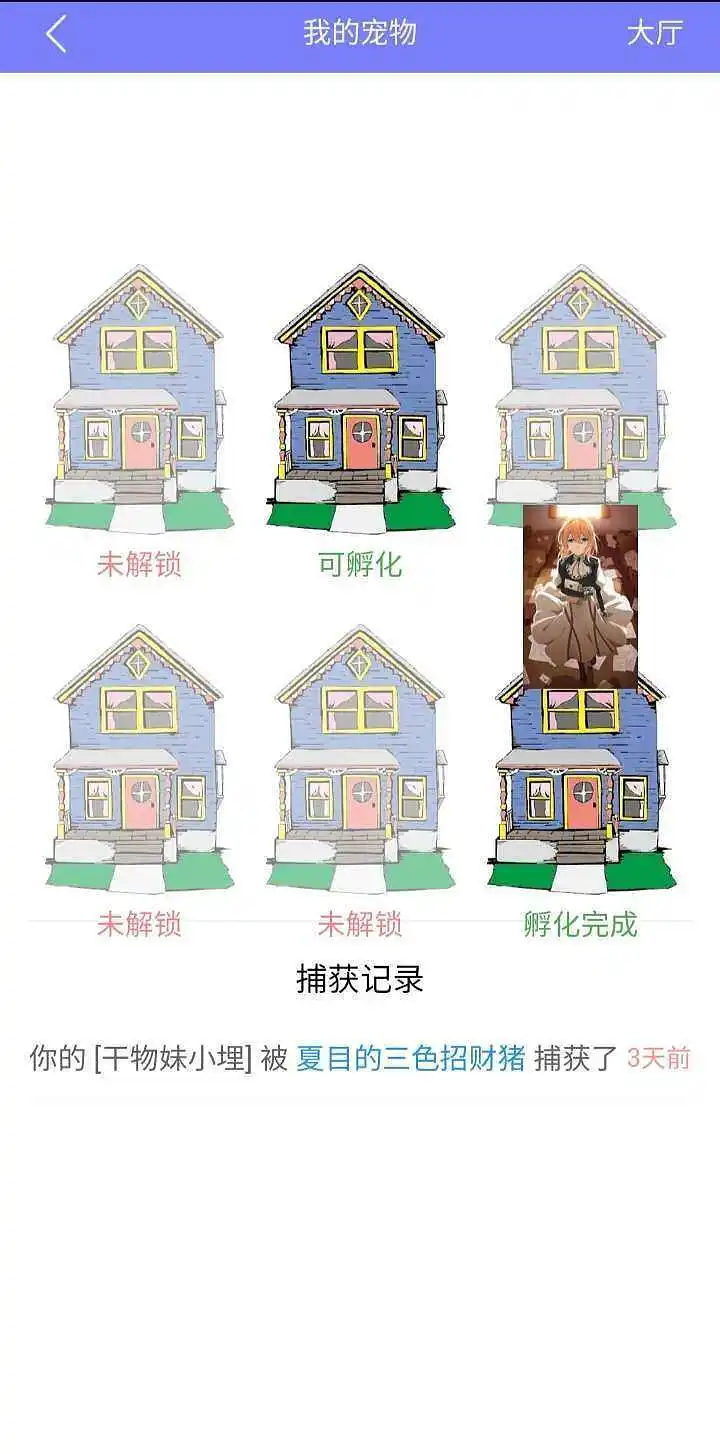 闲聊茶馆,宠物