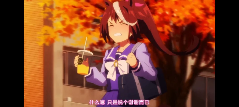 赛马娘,赛马娘第二季,动画,动漫,番剧,二次元,ACG