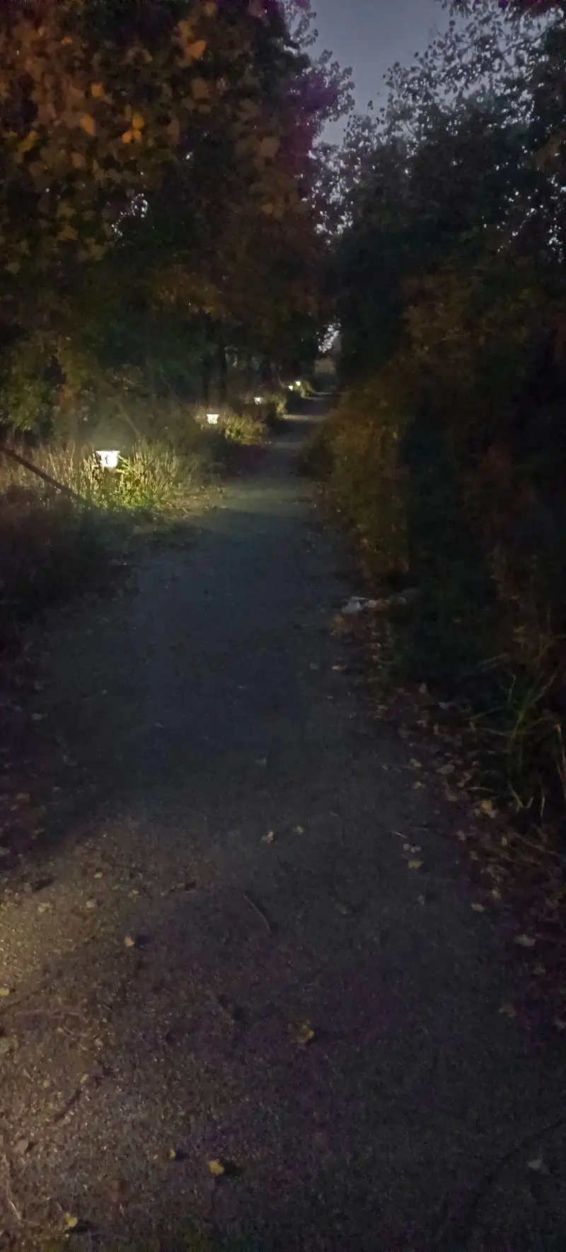 诗词,五言律诗,小小打油诗