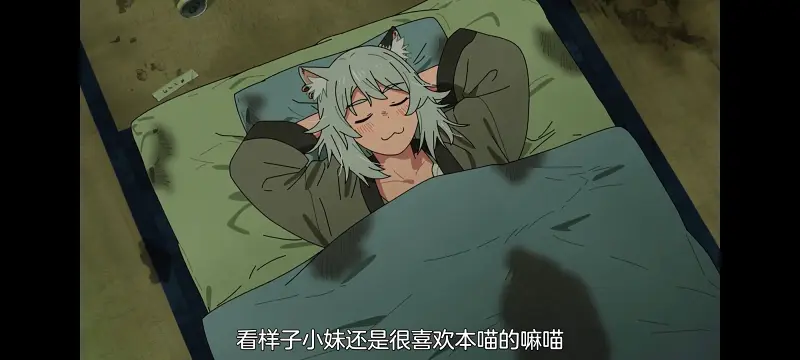 雅尼猫,尼古喵喵,动画,动漫,番剧,二次元,日漫,ACG