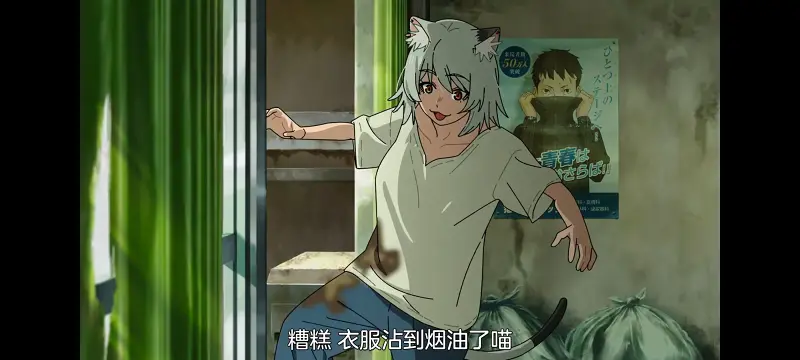 雅尼猫,尼古喵喵,动画,动漫,番剧,二次元,日漫,ACG