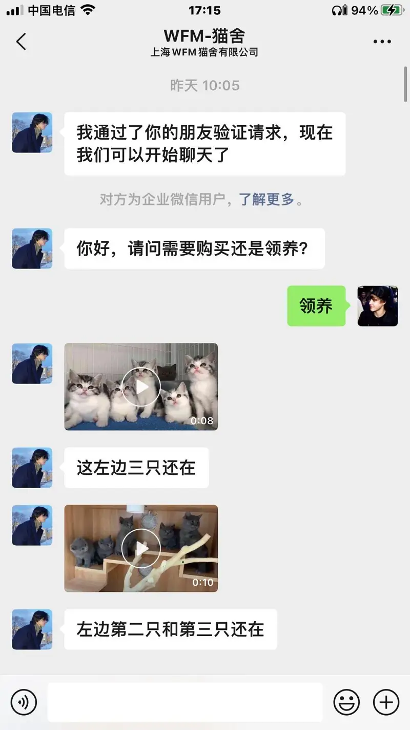 闲聊茶馆,骗钱的狗