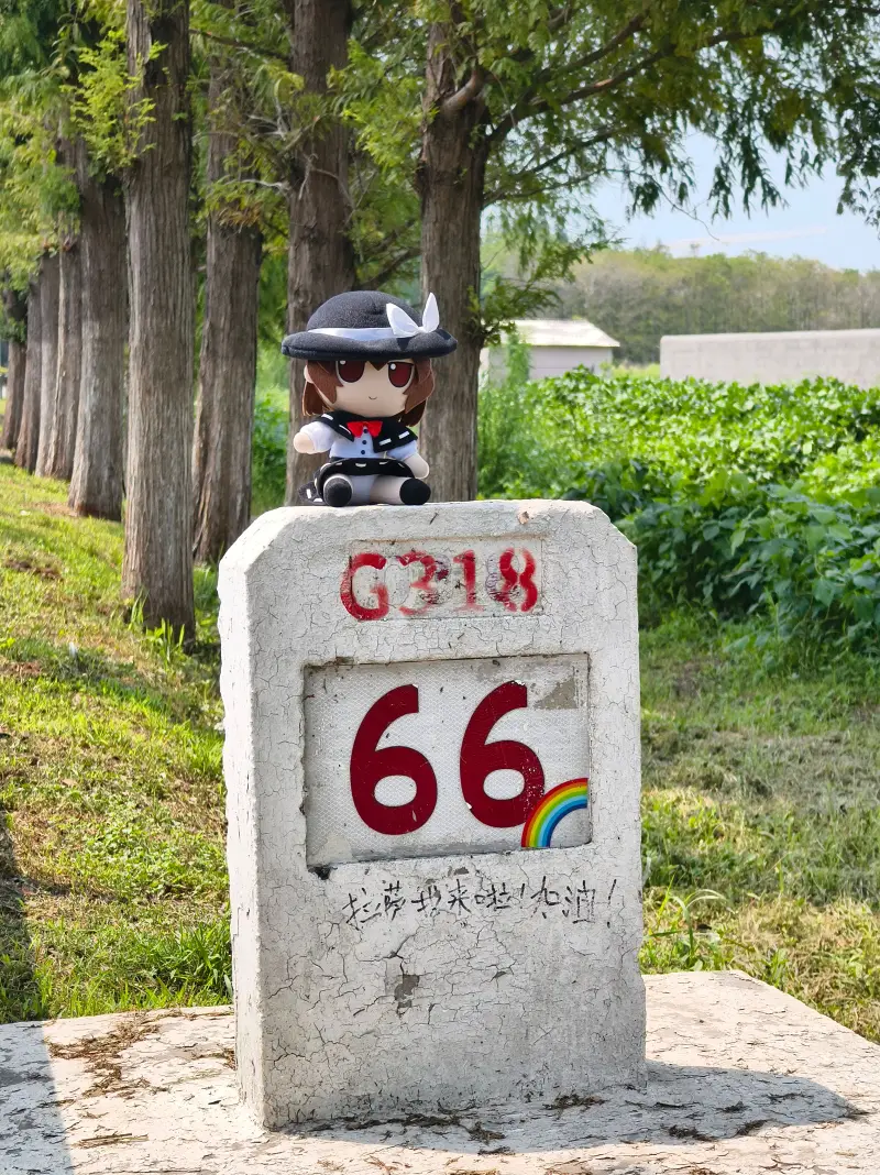 总有一天我会走到这条路的尽头