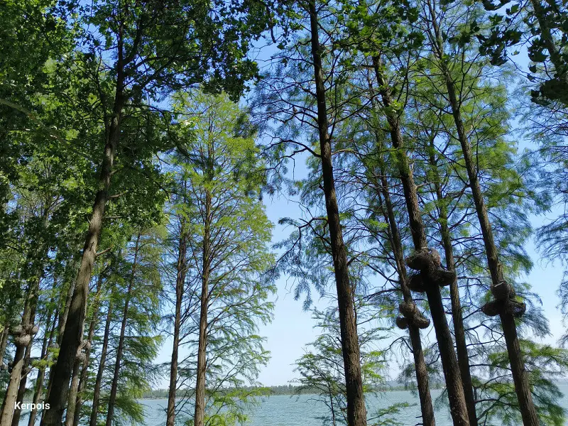 闲聊茶馆,五一假期