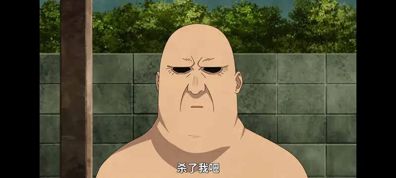 雅尼猫,尼古喵喵,动画,动漫,番剧,日漫,二次元,ACG