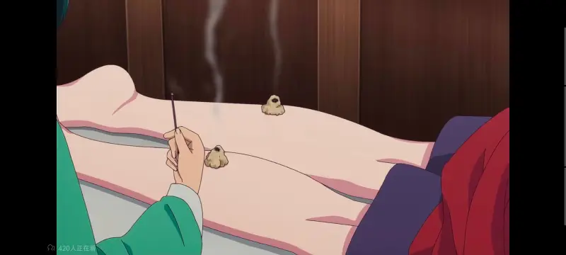 药屋少女的呢喃,药师少女的独语,动画,动漫,番剧,日漫,二次元,ACG