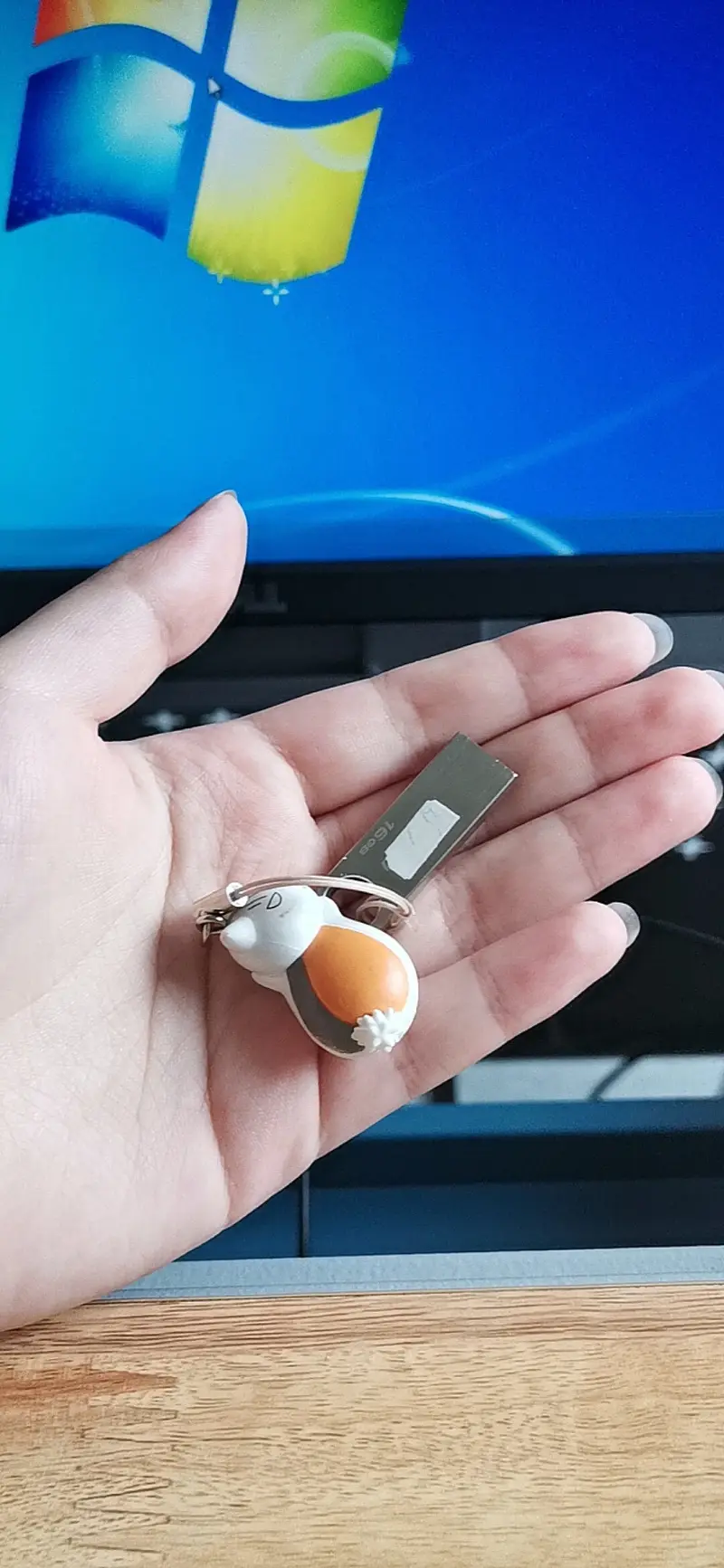 ヾ(✿ﾟ▽ﾟ)ノ