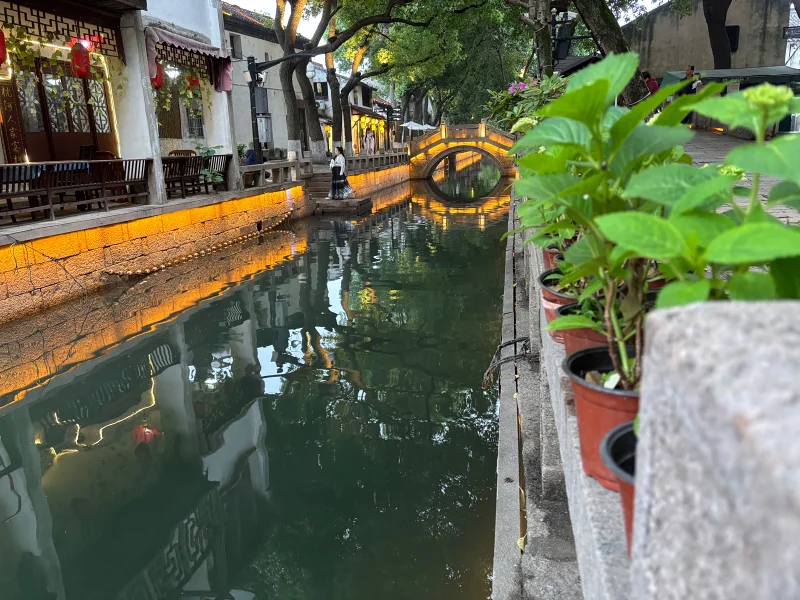 苏州,旅游,喵奈的五一