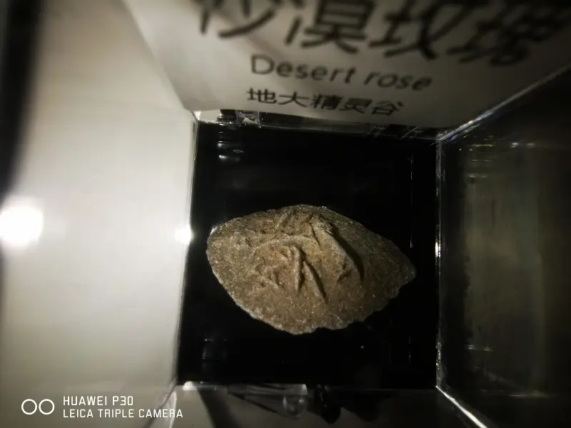 摄影