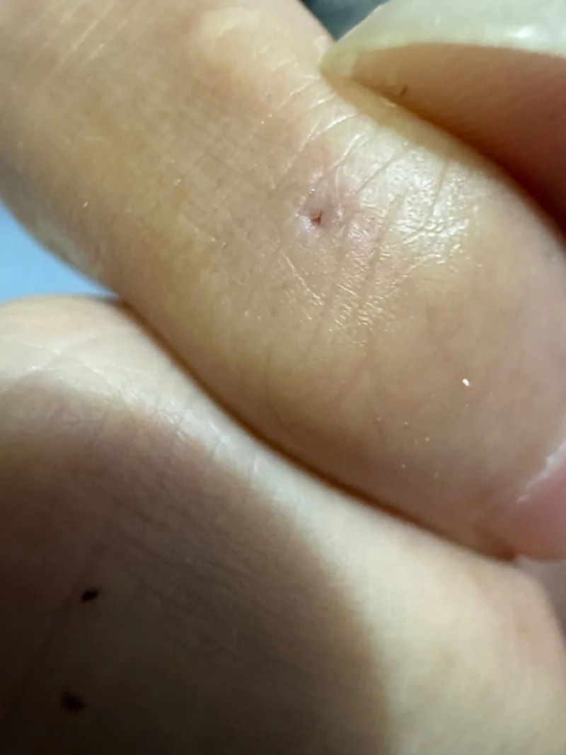 哎了不少揍，终于教会用猫砂了