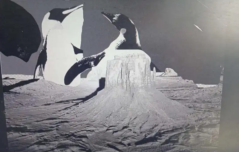 月球领主