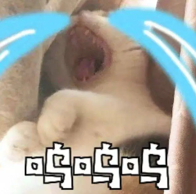 偷蛋可耻