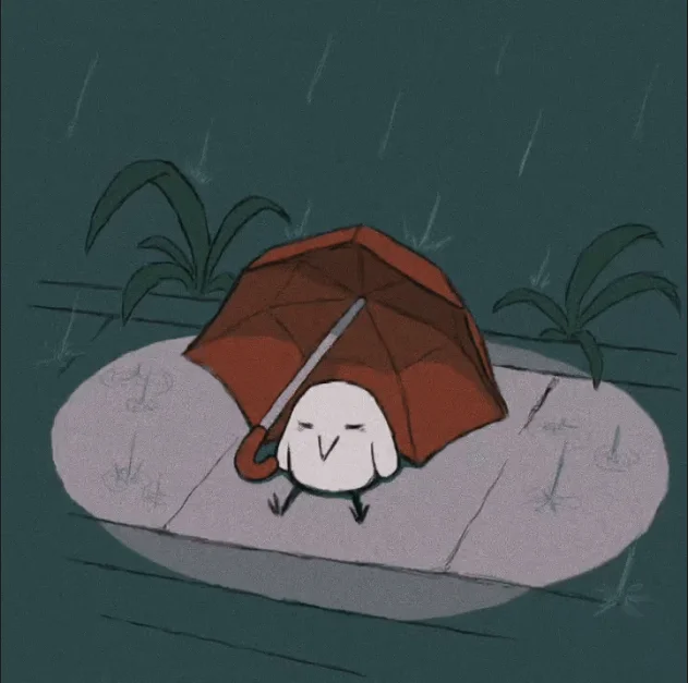 雨