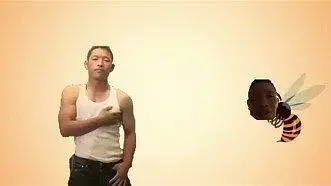 会被黄蜂蜇啦
