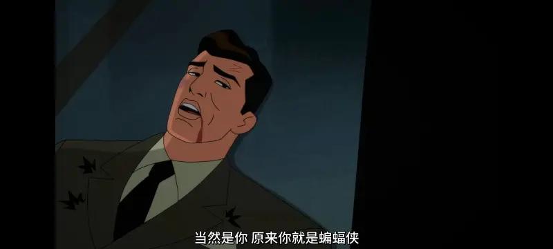 DC,美漫,动画,动漫,蝙蝠侠披风斗士,蝙蝠侠,番剧,超级英雄,ACG