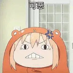 用户交流,宠物