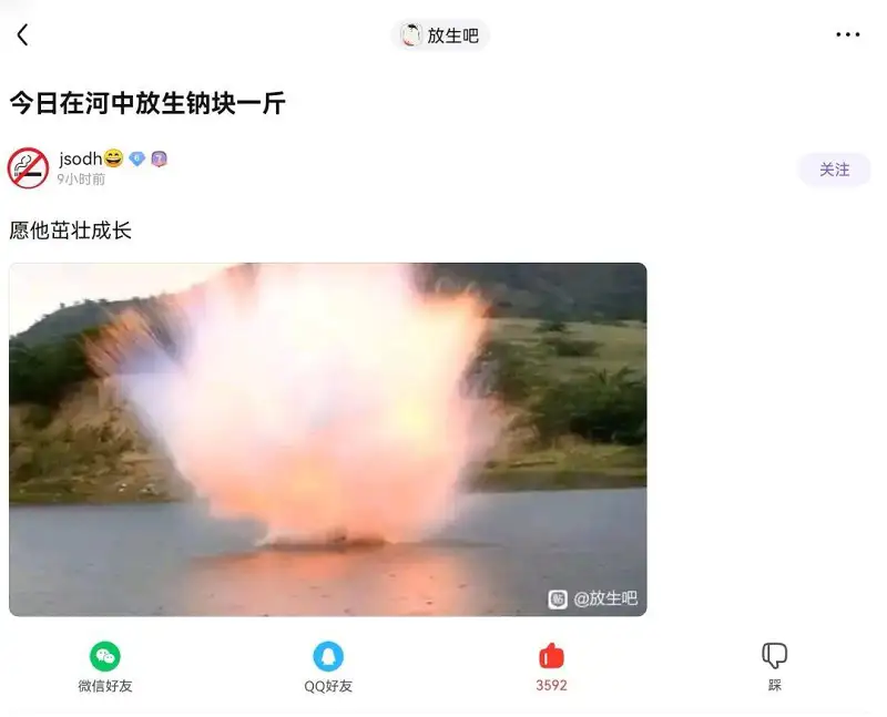 放生吧乐子
