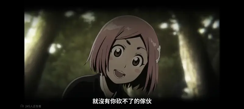 死神,境界,千年血战,动画,动漫,番剧,二次元,日漫,ACG