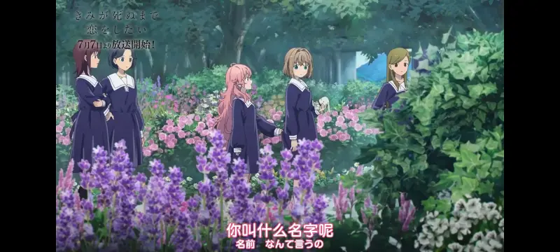 与你相恋到生命尽头,与你相恋到世界尽头,动画,动漫,番剧,百合,二次元,ACG