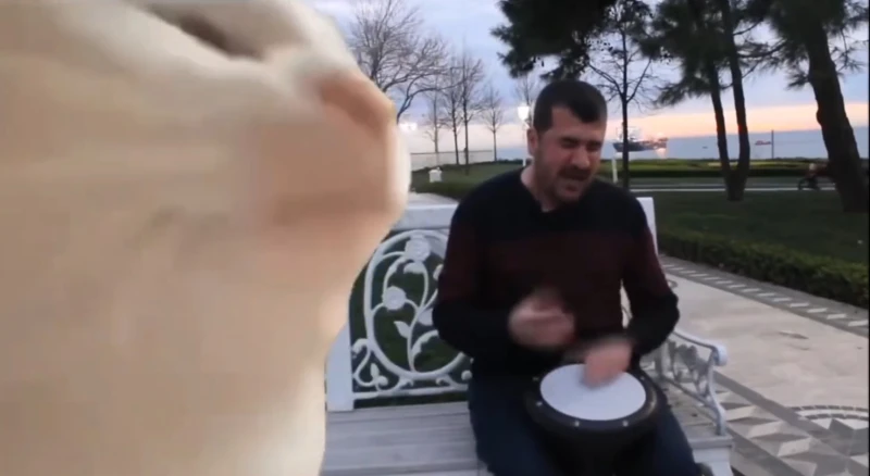 点头猫 芬兰大叔敲鼓 甩葱歌