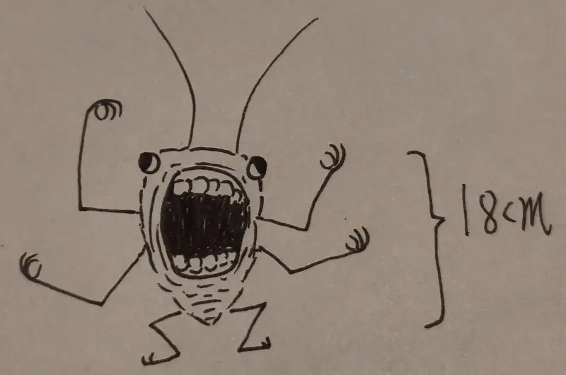 蟑螂