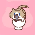 表情包,月薪喵,猫咪表情包,猫meme,哈基米