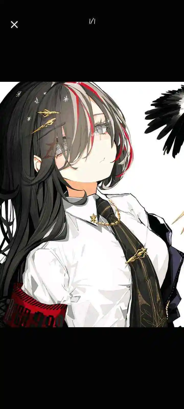 刷经验贴