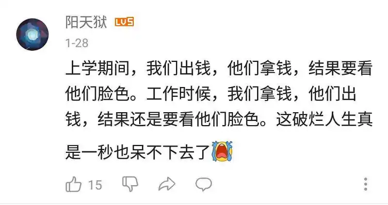 学习和工作