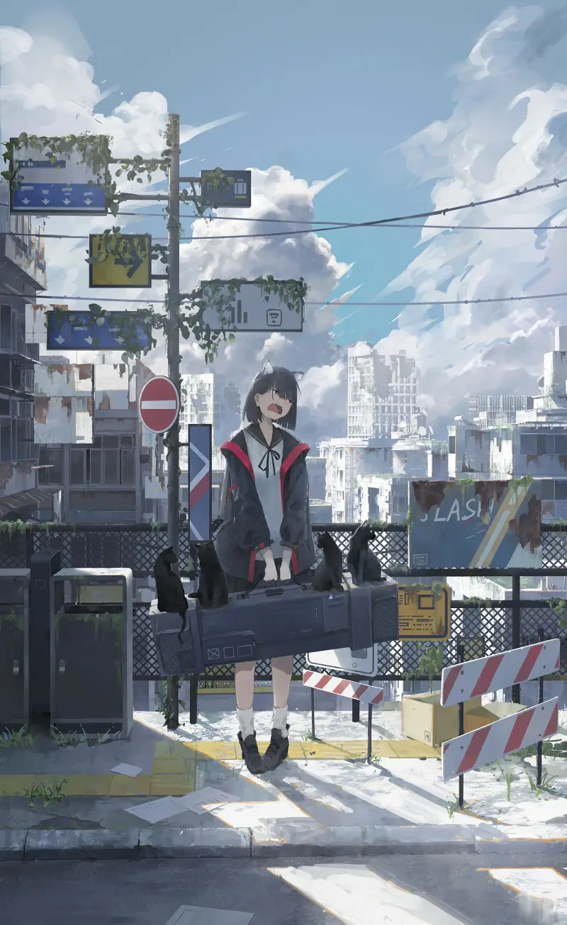 二次元,壁纸,绘画,pixiv