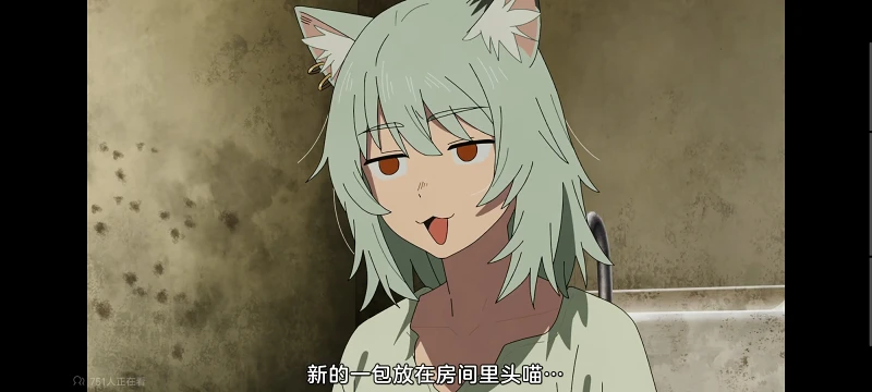 尼古喵喵,雅尼猫,动画,动漫,番剧,二次元,ACG,日漫
