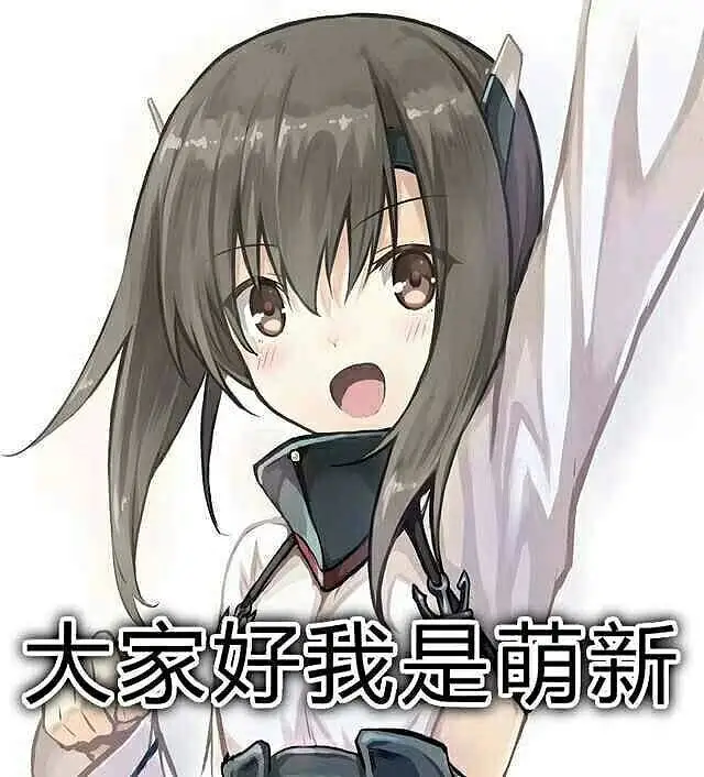 新人报道,新人