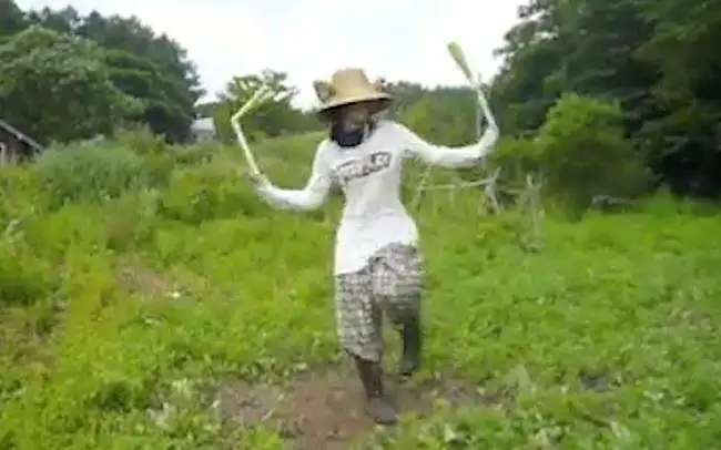 初音甩葱娘