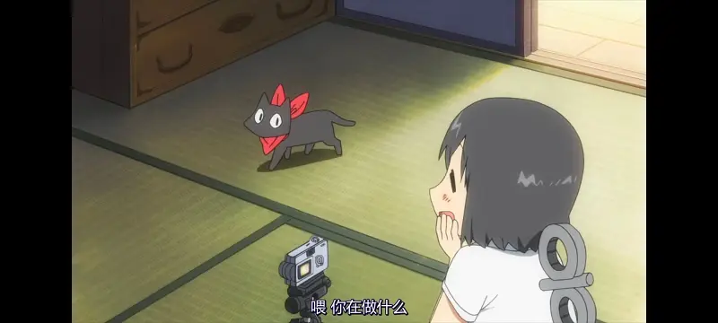 日常,动画,动漫,日漫,番剧,二次元,ACG