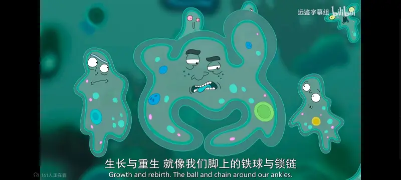 瑞克和莫蒂,瑞克与莫蒂,美漫,动画,动漫,番剧,ACG,欧美动漫