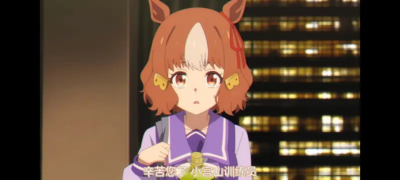 赛马娘,赛马娘PrettyDreby,芦毛灰姑娘,赛马娘芦毛灰姑娘,动画,动漫,番剧,ACG