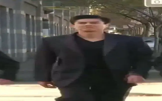 W I D E  A N I K I