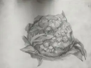 第二届喵喵杯,素描,绘画,手绘