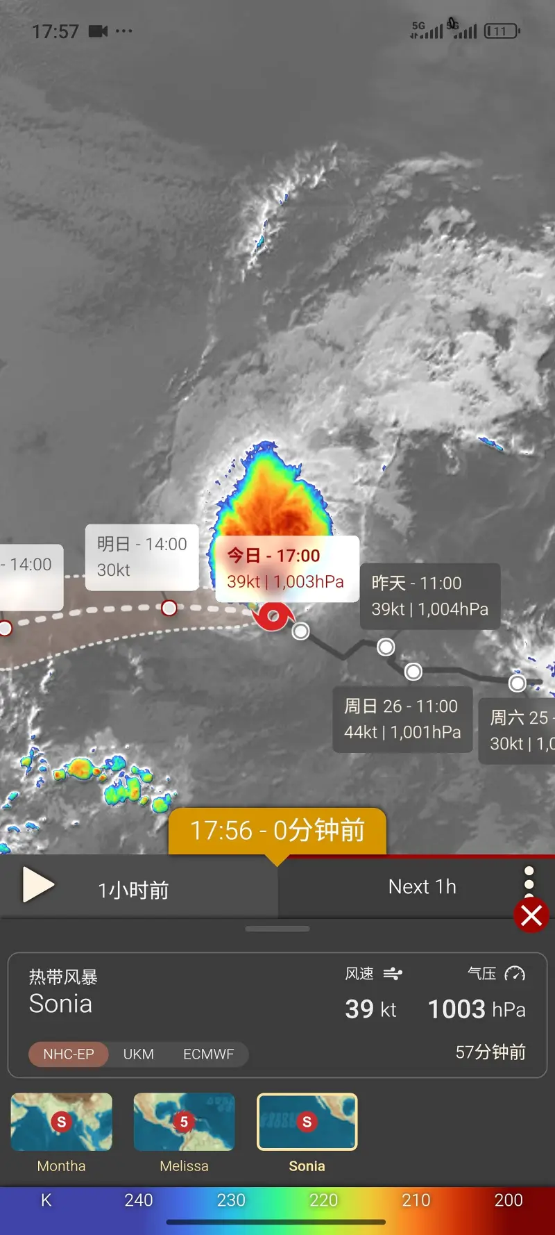 飓风,全球,天气