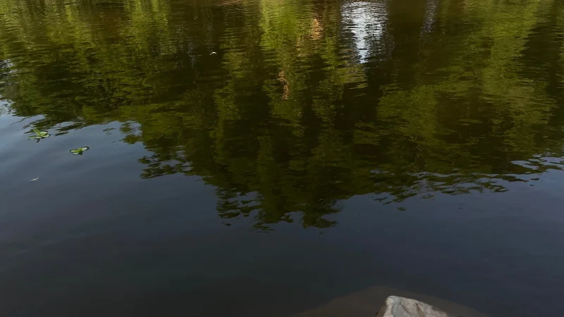 照片,M站