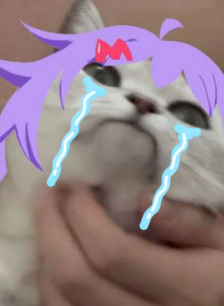 咪咪攘攘我们的周年庆,喵奈meme