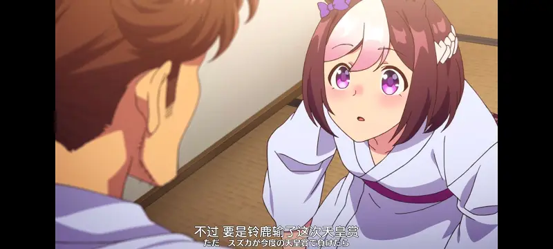 赛马娘,赛马娘PrettyDreby,动画,动漫,番剧,ACG